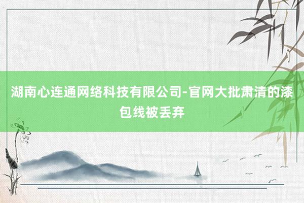 湖南心连通网络科技有限公司-官网大批肃清的漆包线被丢弃