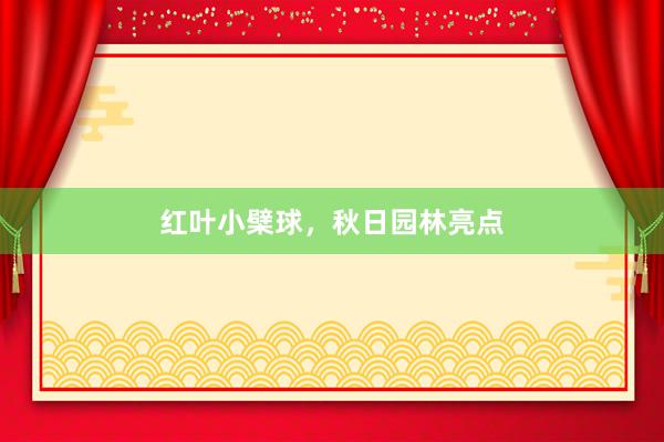 红叶小檗球，秋日园林亮点