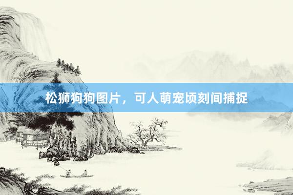 松狮狗狗图片，可人萌宠顷刻间捕捉