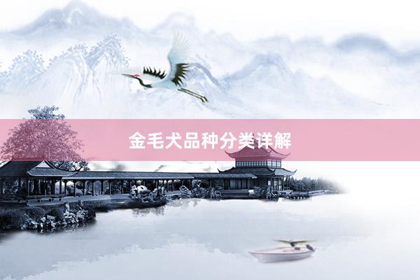 金毛犬品种分类详解